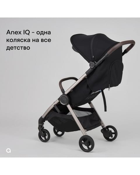 Детская коляска Anex iQ Basic NT 2 в 1 Sienna 2024