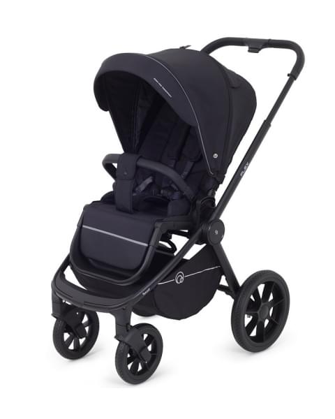 Детская коляска Rant Flex 2 в 1 RA076 Black