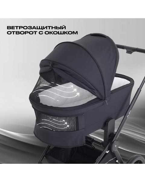 Детская коляска Rant Flex 2 в 1 RA076 Black