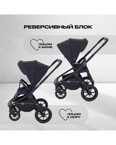 Детская коляска Rant Flex 2 в 1 RA076 Black