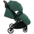 Детская прогулочная коляска Pituso Ice IC/005 Emerald Mood