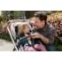 Коляска прогулочная UPPAbaby Cruz V2 ALICE