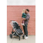Коляска прогулочная UPPAbaby Cruz V2 ALICE пыльный розовый