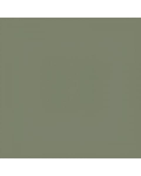Коляска 2 в 1 Carrello Vector 2025 CRL-6551 Field Green