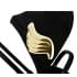 Коляска 2 в 1 Cybex Priam IV Jeremy Scott Wings