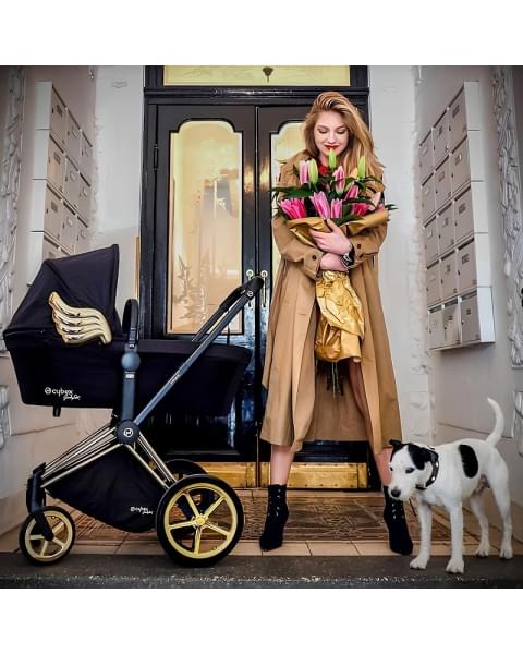 Коляска 2 в 1 Cybex Priam IV Jeremy Scott Wings
