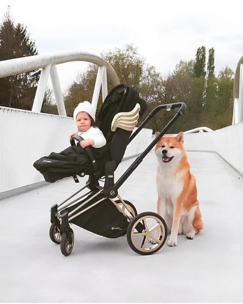 Коляска 2 в 1 Cybex Priam IV Jeremy Scott Wings