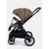 Коляска 2 в 1 Rant Basic Terra Brown