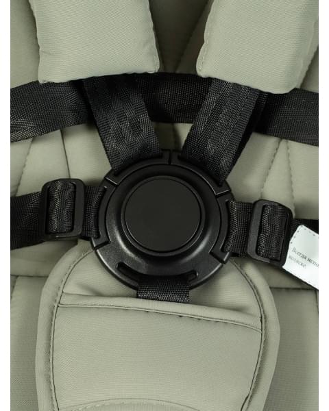 Коляска 2 в 1 Rant Basic Terra Olive