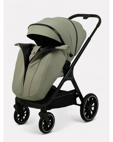 Коляска 2 в 1 Rant Basic Terra Olive