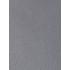 Коляска 2 в 1 Rant Flex Pro 2023, Grey (Серый)