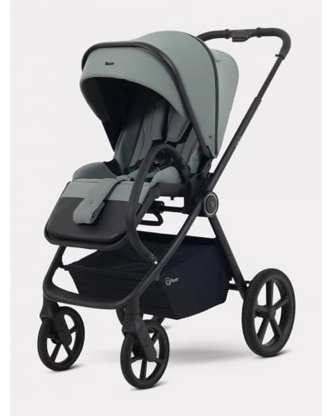 Коляска 2 в 1 Rant Teo Soft Olive