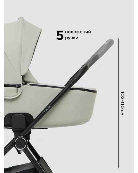 Коляска 2 в 1 Rant Teo Soft Sage