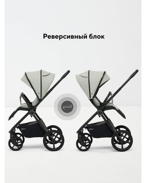 Коляска 2 в 1 Rant Teo Soft Sage