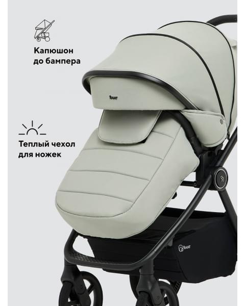 Коляска 2 в 1 Rant Teo Soft Sage