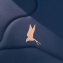 Коляска 2 в 1 Tutis Mio 3+ New Limited, Midnight Swallow (015)