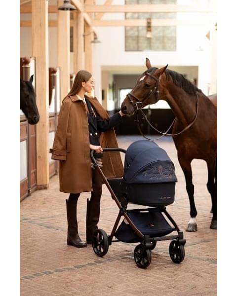 Коляска 2 в 1 Tutis Mio 3+ New Limited, Midnight Swallow (015)