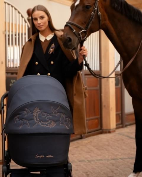 Коляска 2 в 1 Tutis Mio 3+ New Limited, Midnight Swallow (015)