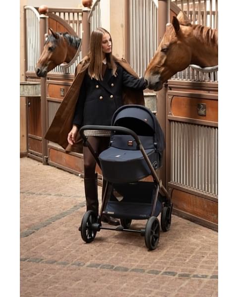 Коляска 2 в 1 Tutis Mio 3+ New Limited, Midnight Swallow (015)