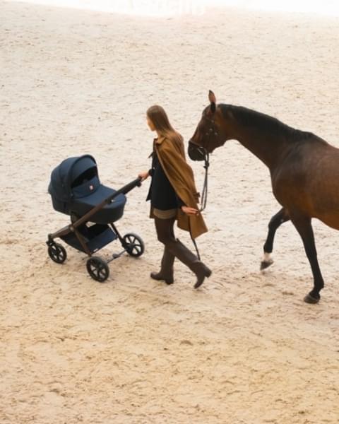 Коляска 2 в 1 Tutis Mio 3+ New Limited, Midnight Swallow (015)