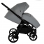 Коляска 2 в 1 Tutis Nanni 7, Crystal (058)