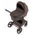 Детская коляска 2 в 1 Anex Flo (fl-07c) Browny