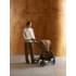 Коляска 3 в 1 Anex iQ Basic, Sienna / Коричневый (iq-11)