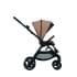 Коляска 3 в 1 Anex iQ Basic, Sienna / Коричневый (iq-11)