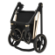 Коляска 3 в 1 Roan Sol Lux, Candy шасси Gold (Розовый)