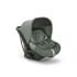 Коляска 4 в 1 Inglesina Electa New System Quattro + Автокресло Inglesina Darwin (0-13 кг), Murray Green (Зеленый)
