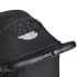 Коляска прогулочная Agex Maxi, Black (Черный)