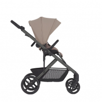 Коляска прогулочная Anex Modu, Rooty (MD-01)