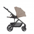 Коляска прогулочная Anex Modu, Rooty (MD-01)