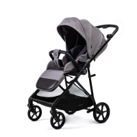 Коляска прогулочная Peppy Amici, Grey / шасси Black