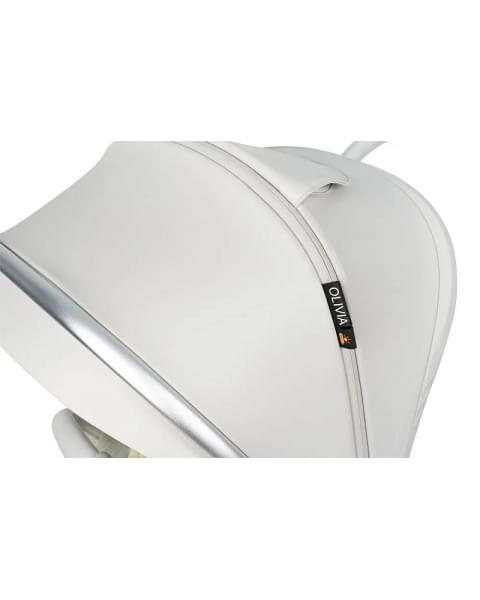 Коляска прогулочная Farfello Olivia O1s,серый