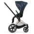 Прогулочная коляска Cybex Priam IV Jewels of Nature/Rosegold
