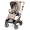 Прогулочная коляска Peg Perego Vivace New Mon Amour