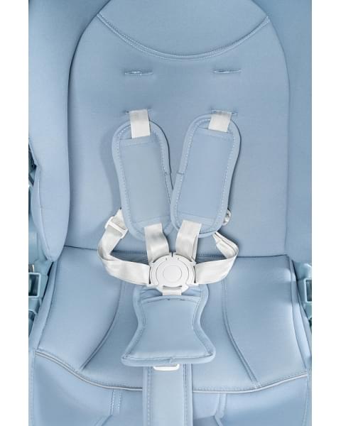 Детская прогулочная коляска Farfello Fest Lux Небесно-голубой FL-8 цветная рама