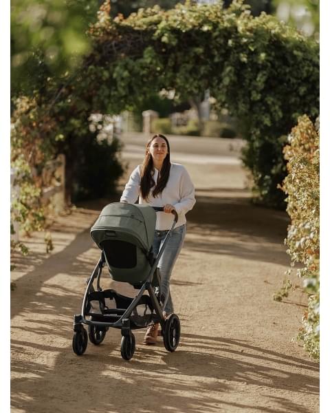 Коляска 2в1 UPPAbaby VISTA V3 Evelyn