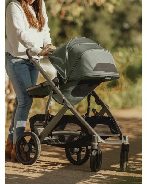 Коляска 2в1 UPPAbaby VISTA V3 Evelyn