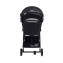 Прогулочная коляска Anex Air-X 2021, Black / Черный (Ax-02/L)