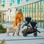 Коляска для двойни 3 в 1 Cybex Gazelle S шасси Taupe, Deep Black (Черный)