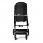Коляска 2 в 1 Labala Raiz, Black / Черный (02)
