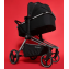 Коляска 2 в 1 Labala Raiz, Black / Черный (02)