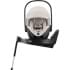 Автокресло (автолюлька) Britax Roemer Baby-Safe Pro Soft Taupe