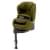 Автокресло Cybex Anoris T i-Size (9-18 кг), Mustard Yellow (Зеленый)