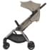 Детская коляска Anex iQ Premium NT 2 в 1 sandy