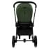 Детская коляска Pituso Mayla Luxury 2 в 1 Forest Green