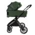 Детская коляска Pituso Mayla Luxury 2 в 1 Forest Green
