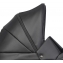 Детская коляска Riko Nano Thermo 2 в 1 01 Black (черный)